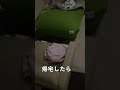 ヨギボーほんと最強😂 #コーギー #犬 #くきたん #youtubeshorts