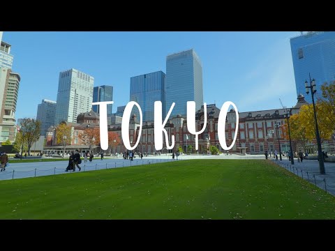 Tokyo Vlog 🍁Beautiful Autumn Spots in Tokyo - Tokyo Station - Hibiya Park - Marunouchi