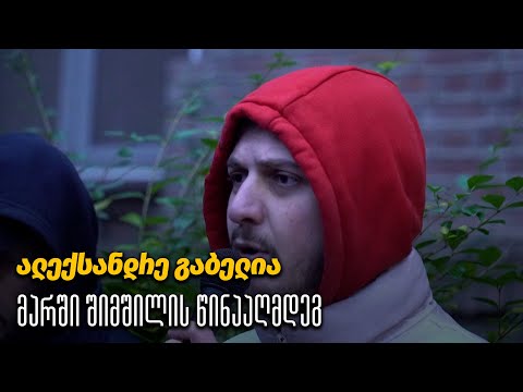 ალექსანდრე გაბელია - მარში შიმშილის წინააღმდეგ