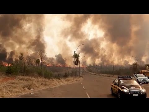 Los incendios forestales asolaron hectáreas de reserva natural en Paraguay