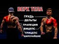 Самая ЭФФЕКТИВНАЯ тренировочная программа "Верх-Низ".(тренировка ВЕРХА ТЕЛА)| Джефф Ниппард