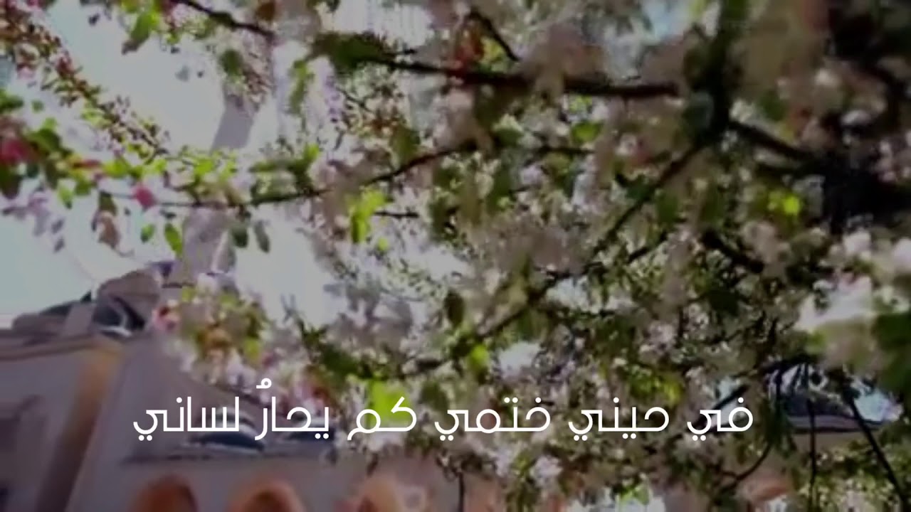 يايومَ ختمي وامتزاجُ مشاعري