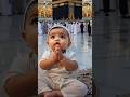 💞✅Hasbi Rabbi Jallallah 🥰😱 Alifun ba taun 💥 #cute #cat #cutecat #alifunba #catworld😸 #islamicshorts