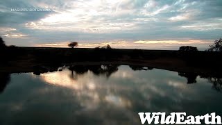 WildEarth - Sunrise  Safari - 28 June 2022