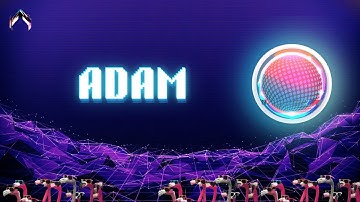 Adam | The Hitchhiker