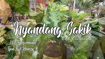 Nyandang Sakit | Cipt. Erwinardo | Live performance Iyan F ft Munzir B