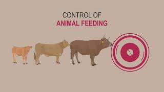What does it mean that our animals are Grain-fed?