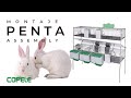 Cómo montar una jaula para conejos PENTA | COPELE