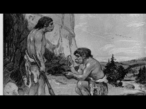 Vídeo: Els saxons menjaven carn?