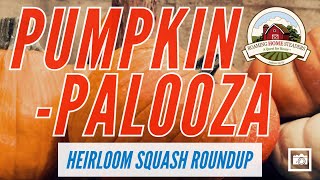 Pumpkinpalooza: Heirloom Squash Roundup!
