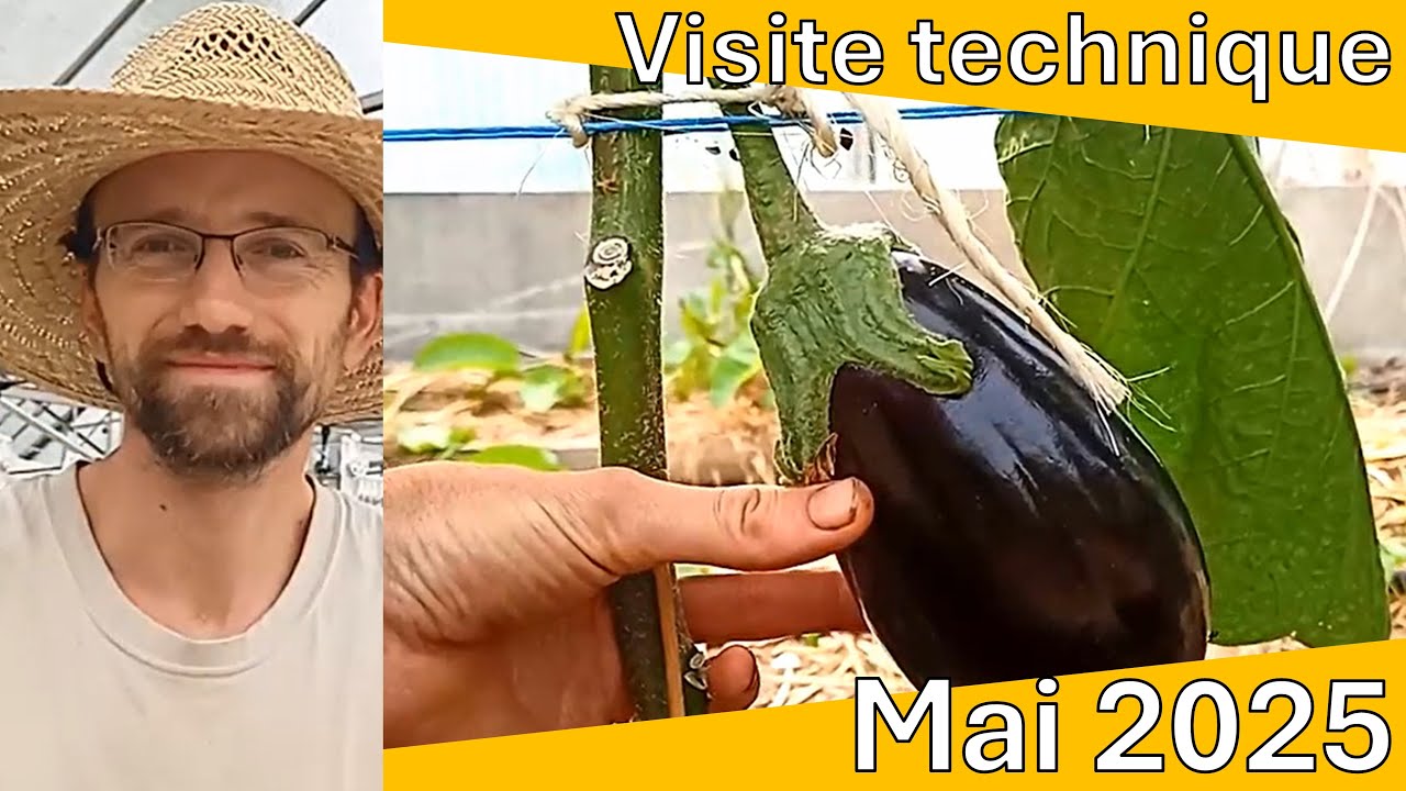 Visite technique des jardins maraîchers - mai 2025