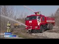В Ульяновске загорелся лесной массив.