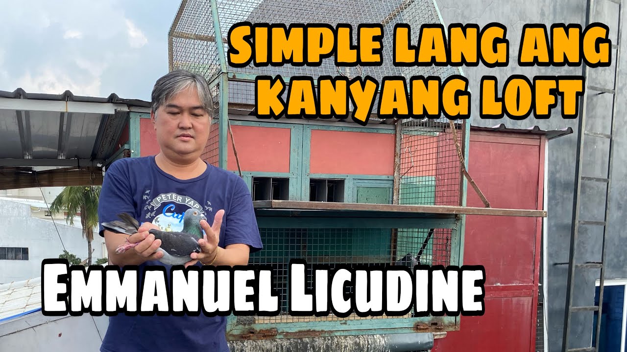 SIMPLE LANG ANG LOFT PERO MAGANDA ANG MGA IBON – EMANNUEL LICUDINE PART 3 |Reggie Cruz Loft & Aviary
