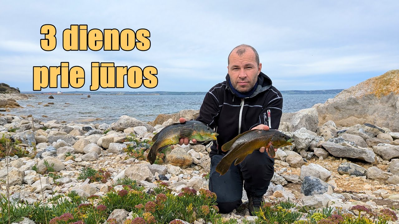 3 dienos ieškant maisto prie jūros Anglijoje