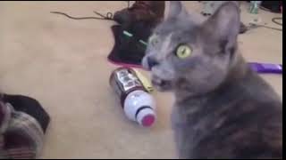 I don't speak spanish sorry -