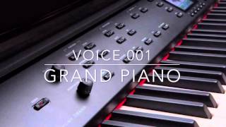Williams Symphony Grand Voice 001 Grand Piano performed by Kris Nicholson