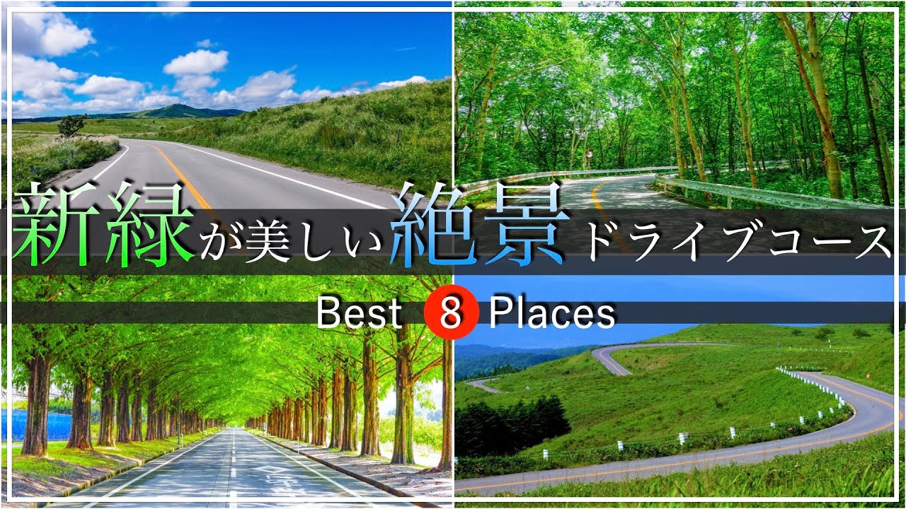 【絶景ドライブ】新緑を駆ける：緑が美しい春の絶景ドライブコース！
