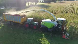 Mais hakselen 2023 | Claas Jaguar 940 | meerder Fendt + John Deere | Van Manen