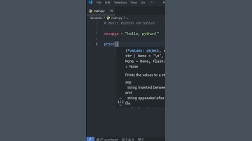 Python Basics: VARIABLES in Under a Minute! 🐍