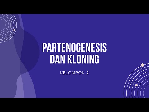 Video: Perbedaan Antara Partenogenesis Dan Partenokarpi