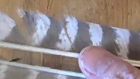 How to split a feather using no tools for primitive archery.