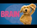 How To Make A Puppet Brain! - Puppet Building 101