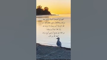 أذكار الصباح 🌴حالات واتس اب دينية قصيرة Quran status