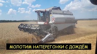 &quot;Уборка зерновых 2019&quot; обычный рабочий день