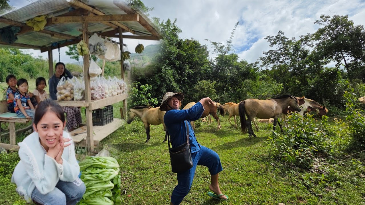 #เที่ยวลาว ชมตลาดบ้านน้ำหง๋ำเล๊าะลงมาจากเชียงขวางเดินทางต่อไปเมืองเวียงทอง#บรรยากาศการเดินทาง#สปปลาว