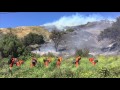 Brush Fire by Foster Park