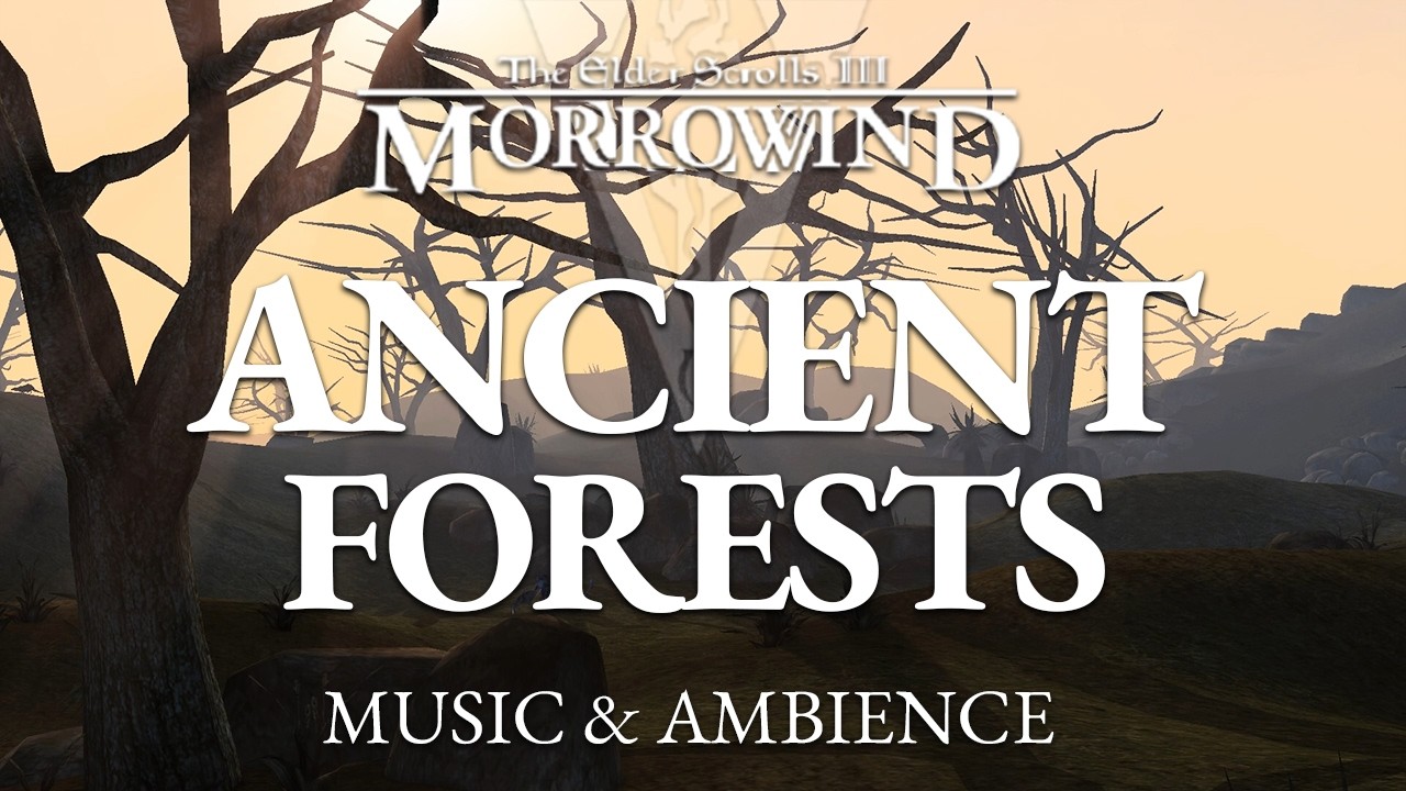 Ancient Forests | Peaceful The Elder Scrolls III Morrowind Music & Ambience