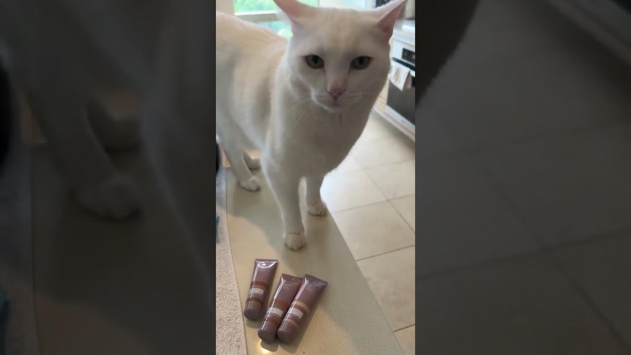 Glam mornings with the new Illuminance Serum Tint from Revlon Australia & NZ✨ 