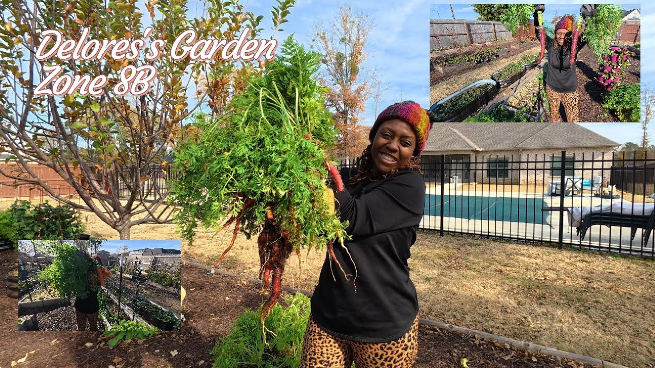 17.12. Собираю огромные морковки и сажаю последние луковицы — проведите день со мной!