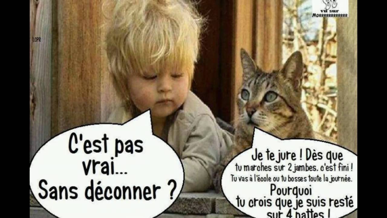Allan c est vrai ou pas перевод. Allan c est vrai ou pas перевод