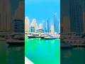 Exploring Dubai Marina | Luxury Waterfront Walk #shorts