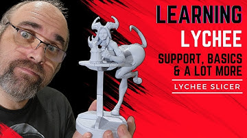 Learning Lychee Slicer and 3D Printing   Software, support, basics and more