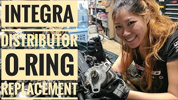 How to Replace Integra Distributor O-Ring (VLOG 15)