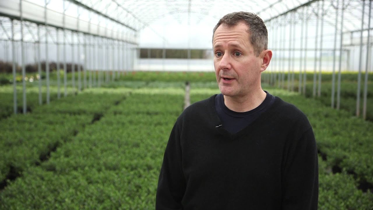 Partnership with Boningale: Green roof substrates