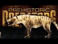 Prehistoric Predators - Hyaenodon horridus