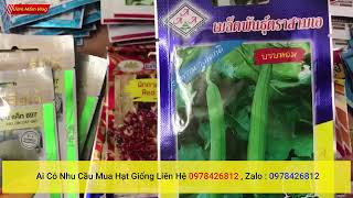 Tổng đại lý phân phối và bán lẻ hạt giống nhập khẩu thái lan chính hãng , hạt giống nhập khẩu đài lo