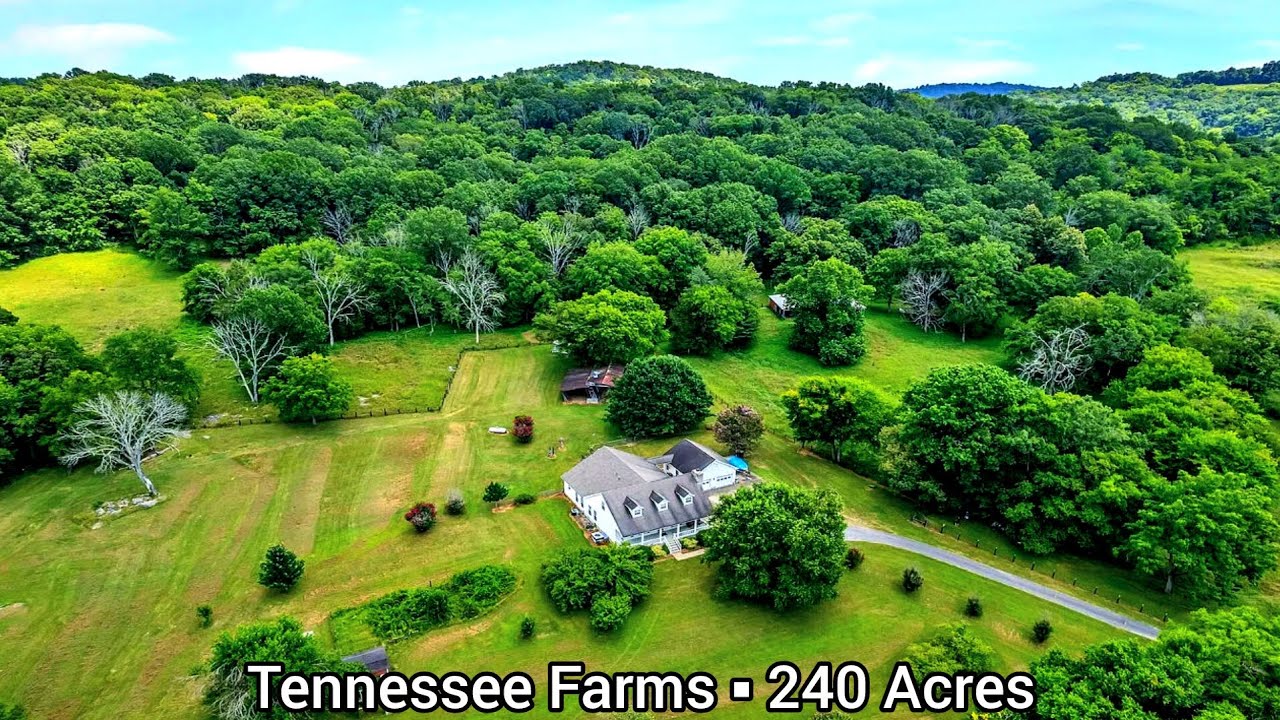 Фермы в Теннесси на продажу | 240 акров | 2 пруда | Фермы по разведению альпак | Земля на продажу...