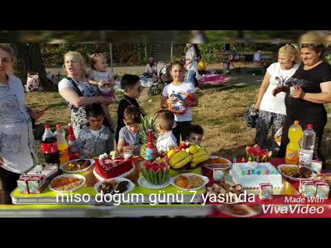 Yeni zara Miso doğum günü 2018