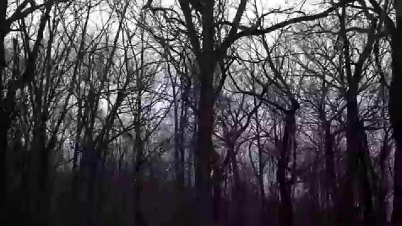 trucking services cavite Virtual walk of Blue Earth, MN Rest Area Trail