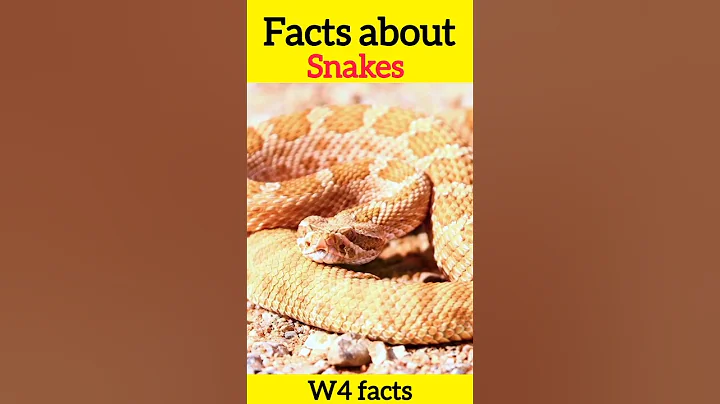 5 crazy facts about snakes Interesting facts #facts #snakes #viralshorts #shorts