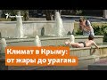 Ураганы и аномальная жара. Крым в глобальных климатических изменениях | Доброе утро, Крым