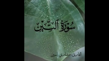 ما شاء الله تبارك الرحمن #تلاوة #مشاري_ياسين #ياسر_الدوسري #اكتب_شي_تؤجر_عليه #قرآن_كريم