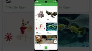Mobile application development assignment 2 Wealth
