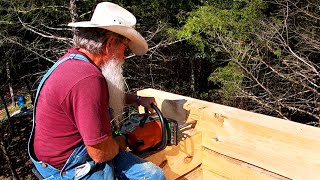 Setting the Half Logs, Dovetail Log Cabin Build (Ep 36)