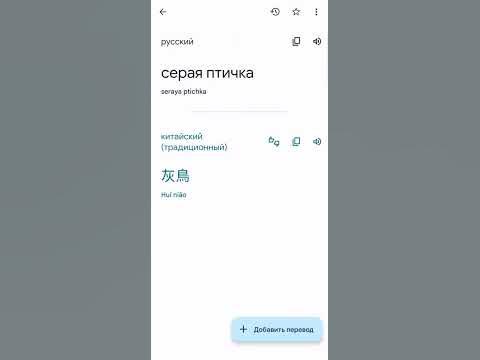 Серая птичка на КИТАЙСКОМ #shorts - YouTube