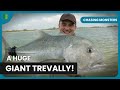 Expedition island secret  chasing monsters  fishing show